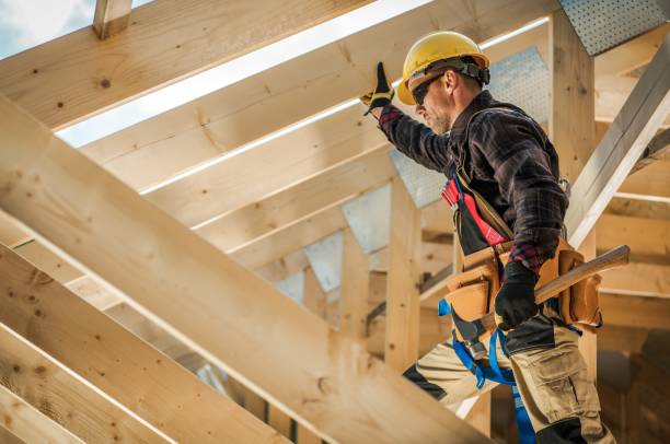 Best Roof Gutter Cleaning  in Mitchell, NE